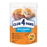 Club 4 Paws Premium Hrana umeda pisoi - somon in sos, 24x80g