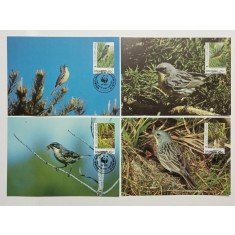 Bahamas 1995 - Pitulicea lui Kirtland, serie CarteMaxima