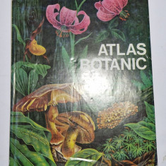 Atlas Botanic - Lucia Popovici,C.Moruzzi , I.Toma - 1994