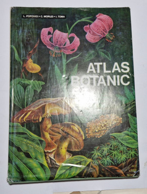 Atlas Botanic - Lucia Popovici,C.Moruzzi , I.Toma - 1994 foto