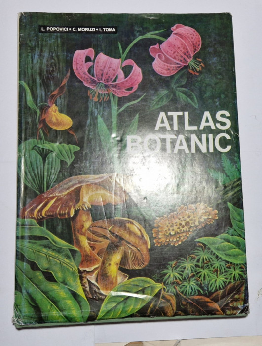 Atlas Botanic - Lucia Popovici,C.Moruzzi , I.Toma - 1994