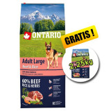 ONTARIO Adult Large Beef &amp;amp; Rice 12 kg + 2,25 kg GRATUIT