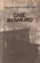 Case in amurg foto