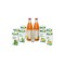 Cura de Detoxifiere cu Suc de Mango Schoenenberger 1buc