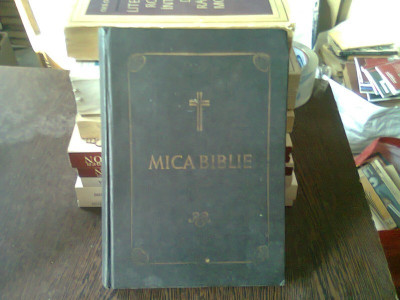 MICA BIBLIE foto