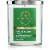 Bath &amp; Body Works Stress Relief Eukalyptus Spearmint lum&acirc;nare parfumată 227 g