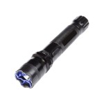Electrosoc Metalic 1102 in Forma de Lanterna Include si Incarcator Auto