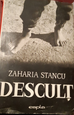 DESCULT ZAHARIA STANCU foto