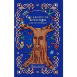 Csillaghullta, Sz&eacute;lelf&uacute;jta - Az ősi kincs nyom&aacute;ban - Munk&aacute;csi Gabriella