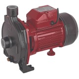 Raider RD-CPM158 - Pompa de suprafata pentru aplicatii mici si medii in agricultura 750 W - bar 28 m 96 l/min carcasa fonta monofazata
