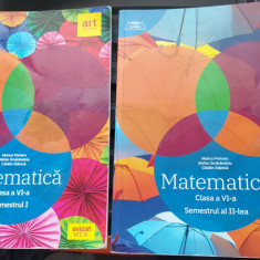 MATEMATICA CLASA A VI SEMESTRUL I SI II PERIANU SMARANDOIU STANICA EDITURA ART