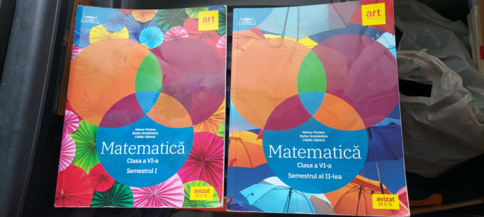 MATEMATICA CLASA A VI SEMESTRUL I SI II PERIANU SMARANDOIU STANICA EDITURA ART