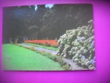 HOPCT 7303 PARCUL KNNOR -GRAMADO -BRAZILIA -AMERICA DE SUD -NECIRCULATA