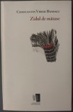 Cumpara ieftin CONSTANTIN VIRGIL BANESCU (1982-2009): ZIDUL DE MATASE (VERSURI, 2000-2009) [poeziile cuprinse in cele trei volume antume + 3 texte inedite]