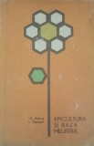 Apicultura si baza melifera - V. Petrus