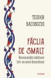 Făclia de smalț Teodor Baconschi - Polirom
