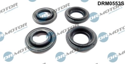 Etansare, Suport Injector 244241 DRM0553S foto
