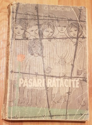 Pasari ratacite de G. Morcinek foto