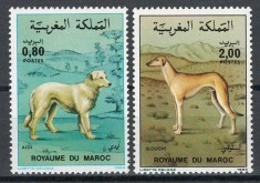 Maroc 1984 Mi 1061/62 MNH - Animale: rase de caini