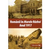 - Romanii in &bdquo;Marele Razboi&rdquo;. Anul 1917 - 133859