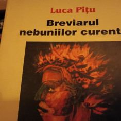BREVIARUL NEBUNIILOR CURENTE -LUCA PIȚU INSTITUTUL EUROPEAN 1998