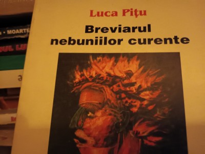 BREVIARUL NEBUNIILOR CURENTE -LUCA PIȚU INSTITUTUL EUROPEAN 1998 foto