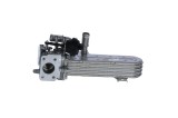NRF 48360 Radiator, recirculare gaze de esapament