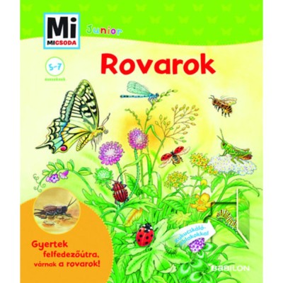 Rovarok - Kukucsk&amp;aacute;l&amp;oacute; ablakokkal - Mi Micsoda Junior - B&amp;auml;rbel Oftring foto