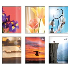 Caiet A4, 100 File, Policrom , Ideal pentru Limba Romana, Marca Ecada