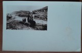 Carte postala, necirculata, cioban cu turma de oi, perioada interbelica