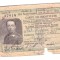 Carte de identitate CFR pentru 4 calatorii cu 75% reducere, subofiter, 1949
