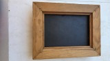 Tablou vintage cu gorgonie