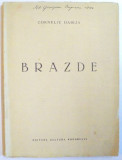 BRAZDE de CORNELIU DABIJA