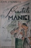 FRUCTELE MANIEI