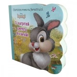 Disney Iepurasi, Carticica mea cu ferestruic, O surpriza pentru Bocanila