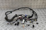 Cablaj ușă dreapta față TESLA MODEL X 2018 OEM: 1032440-00-G 30188712