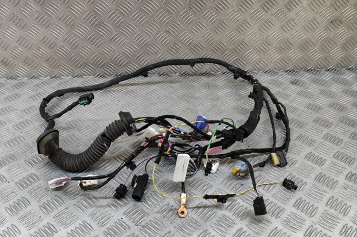 Cablaj ușă dreapta față TESLA MODEL X 2018 OEM: 1032440-00-G 30188712