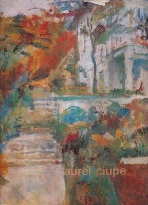 Mircea Deac - Aurel Ciupe foto