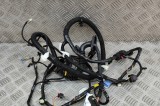 Cablaj ușă st&acirc;nga față TESLA MODEL Y 2023 OEM: 1489044-02-E 22266324