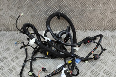 Cablaj ușă st&amp;acirc;nga față TESLA MODEL Y 2023 OEM: 1489044-02-E 22266324 foto