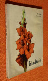 Gladiole - M. Preda, Lucia Litan