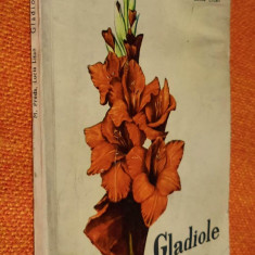 Gladiole - M. Preda, Lucia Litan