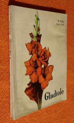 Gladiole - M. Preda, Lucia Litan foto