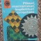 Fileuri, macrameuri, impletituri crosetate (81) - Doina Silviu Marian