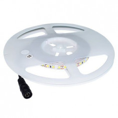 BANDA LED SMD3528 120LED/M 4000K IP20 5M foto