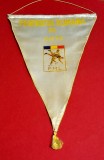 Fanion Sportiv (perioada comunista) - FEDERATIA de LUPTE din ROMANIA (dimensiuni mari 46x31 cm)
