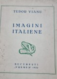 Tudor Vianu - Imagini italiene