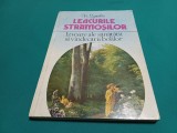 LECURILE STRĂMOȘILOR * K. SZELMER / 1995 * H