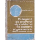 CULEGERE DE EXERCITII SI PROBLEME DE ALGEBRA SI GEOMETRIE PENTRU CLASELE VI-VIII-AURELIA ARIMESCU, VIOREL A-333996