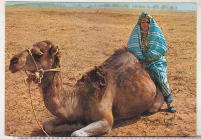 bnk cp Libia - Femeie langa camila camila - uzata foto
